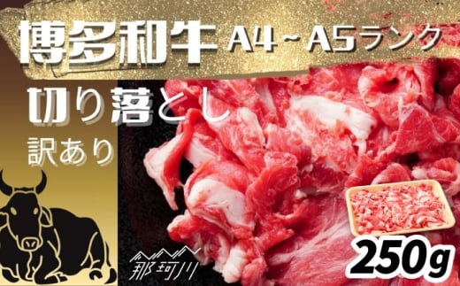 【訳あり】【A4～A5ランク】博多和牛 切り落とし 250g [GFR051]