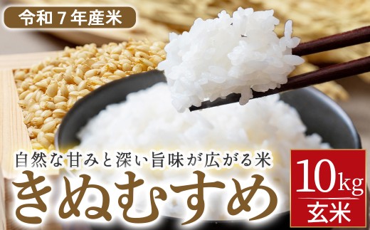 【令和７年産米】きぬむすめ 玄米 10kg（ 数量限定 新米 お米 米 こめ コメ きぬむすめ 玄米 ご飯 ごはん 紙製米袋 ）