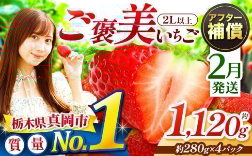 【2月発送】一粒の贅沢！ ご褒美とちあいか 2L以上 約1120g 280g×4パック いちご | 2月 おいしい 取り寄せ プレゼント | 生産量 日本一 果物 フルーツ 苺 イチゴ 25/26年分 シーズン 先行受付 栃木県 真岡市 送料無料