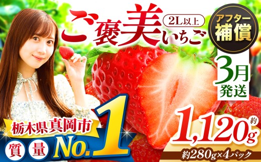 【3月発送】一粒の贅沢！ ご褒美とちあいか 2L以上 約1120g 280g×4パック いちご |  3月 おいしい 取り寄せ プレゼント | 生産量 日本一 果物 フルーツ 苺 イチゴ 25/26年分 シーズン 先行受付 栃木県 真岡市 送料無料