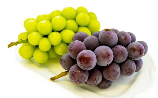 【ご 家庭用 】 シャイン ＆ オーロラ 1.2キロ 【 2026年9月上旬から10月上旬頃発送予定 】 ／ 果物 くだもの フルーツ ぶどう ブドウ 葡萄 シャインマスカット 食べ比べ セット 大粒 甘味が強い 甘い 果汁 食べ応え 岡山県 美咲町