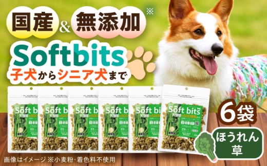 Softbits ドッグフード ほうれん草（40g×6P）/ ドッグフード 犬 いぬ ドッグ おやつ ペットフード / 大村市 / サポート [ACAM016]
