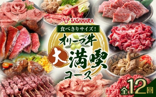 【全12回】食べきりサイズ！オリーブ牛の大満喫コース 2373370 - 香川県高松市