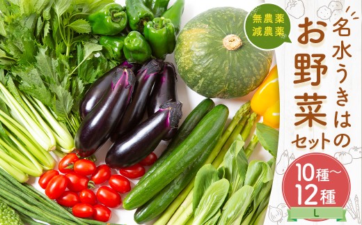 UIC 名水うきはの無農薬減農薬お野菜セットL