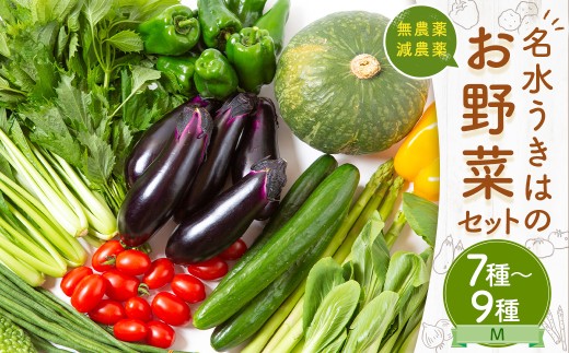 UIC 名水うきはの無農薬減農薬お野菜セットM
