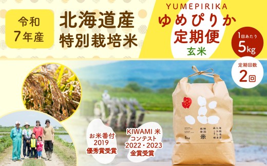 【2ヶ月定期便】北海道産 特別栽培米ゆめぴりか（玄米） 5kg×2回 合計10kg 