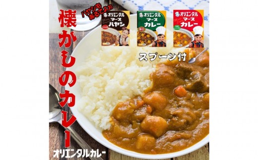 ☆オリエンタルなつかしのカレー＆ハヤシセット（3種類9個+オリジナルスプーン付） 2362293 - 愛知県稲沢市