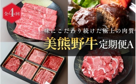 【全4回】美熊野牛 定期便A ＜すき焼きしゃぶしゃぶ用ロース＆赤身モモ肉 400g・切り落とし 400g・焼肉用6種食べ比べ 500ｇ・100％ハンバーグ 100g×5個＞  牛肉 肉 ブランド牛 和牛 黒毛和牛 国産牛 すき焼き しゃぶしゃぶ 赤身 赤身肉 焼肉 ハンバーグ 惣菜 肉定期便 人気 希少 おすすめ 三重県 熊野市【okad-tkb0019】 2374987 - 三重県熊野市