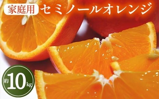【先行予約】【春の美味】【農家直送】爽快カンキツ　セミノールオレンジ（ご家庭用）約10kg ｜ 柑橘 フルーツ 果物 くだもの 食品 人気 おすすめ 選べる 国産 美浜町