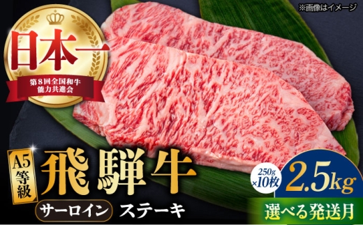 【1月発送】【飛騨牛】 A5等級 サーロイン ステーキ用 10枚 (計2.5kg) 和牛 ブランド牛 国産 牛肉 多治見市 / 渡辺精肉店 [TAZ003-1]