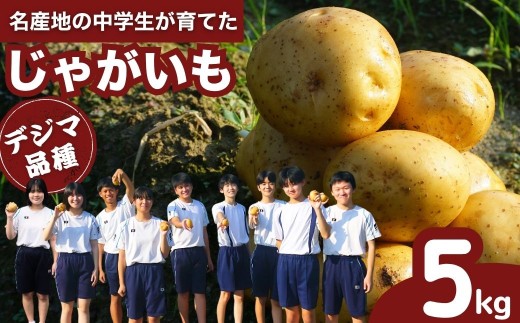 地元中学生の育てた じゃがいも デジマ 5kg 12月発送【野菜 ジャガイモ ポテト いも 芋 産地直送 でじま 出島 高級品種 直送】※2025年12月中旬頃順次発送予定 2375280 - 広島県竹原市
