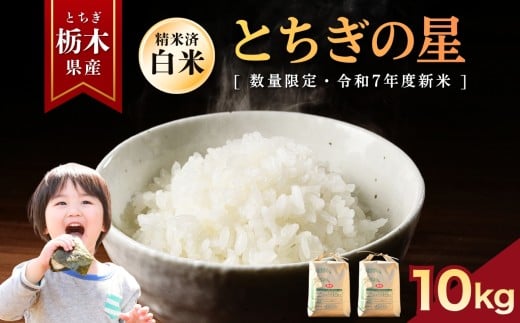 【先行予約】とちぎの星  10kg | お米 米 もち米 ミルキークイーン きぬはなもち とちぎの星 コシヒカリ こしひかり 美味しい お弁当 選べる 定期便 ふるさと 納税 栃木県 矢板市 2375025 - 栃木県矢板市
