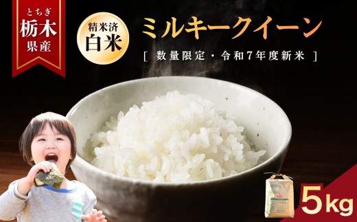 【先行予約】ミルキークイーン  5kg | お米 米 もち米 ミルキークイーン きぬはなもち とちぎの星 コシヒカリ こしひかり 美味しい お弁当 選べる 定期便 ふるさと 納税 栃木県 矢板市
