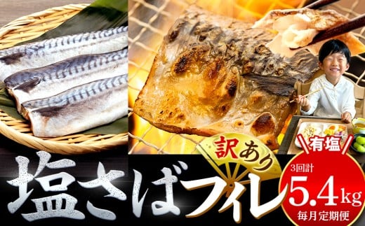 【毎月3回定期便】訳あり 塩サバ 約1.8kg 12枚 × 3回お届け 冷凍 鯖 塩 さば 魚 さかな 海鮮 海産物 おかず サバ 鯖ご飯 おすすめ 人気 さば サバ  鯖 魚 魚介 海鮮 惣菜 塩サバ 塩鯖 焼き鯖 サバ 焼きさば 焼さば 減塩  塩 鯖 さば サバ ギフト おすすめ 人気 ふるさと納税 鯖 サバ さば ふるさと納税さば 愛知県南知多町 南知多 愛知県 愛知県産サバ