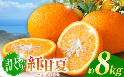 訳あり 紅甘夏 約 8kg | フルーツ 果物 くだもの 柑橘 ミカン みかん 甘夏 あまなつ 熊本県 玉名市