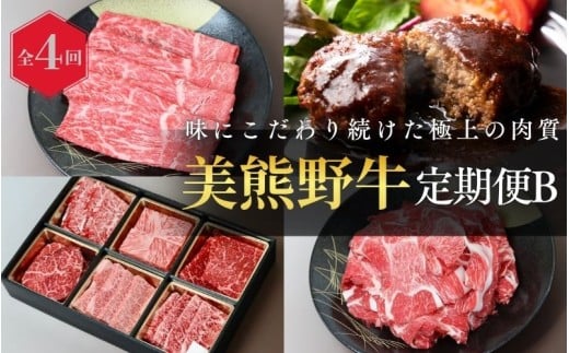 【全4回】美熊野牛 定期便B ＜すき焼きしゃぶしゃぶ用ロース＆赤身モモ肉 800g・切り落とし 800g・焼肉用6種食べ比べ 500ｇ・100％ハンバーグ 100g×5個＞  牛肉 肉 ブランド牛 和牛 黒毛和牛 国産牛 すき焼き しゃぶしゃぶ 赤身 赤身肉 焼肉 ハンバーグ 惣菜 肉定期便 人気 希少 おすすめ 三重県 熊野市【okad-tkb0020】 2374994 - 三重県熊野市