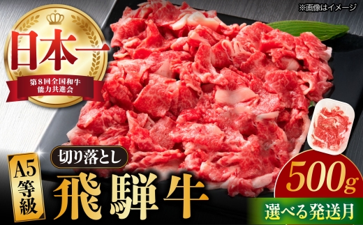 【11月発送】【飛騨牛】 切り落とし 500g 和牛 ブランド牛 国産 牛肉 多治見市 / 渡辺精肉店 [TAZ004-11] 2375071 - 岐阜県多治見市