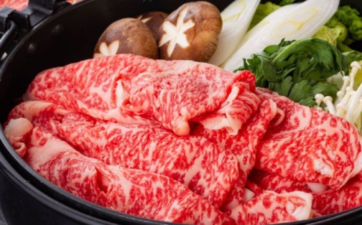 飛騨牛 モモスライス すきやき用 500g 牛肉 ブランド牛 鍋 岐阜市 / みわ屋 柳ヶ瀬店 [ANIX001]