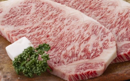 サーロインステーキ 2枚 牛肉 ブランド牛 ステーキ 岐阜市 / みわ屋 柳ヶ瀬店 [ANIX003]