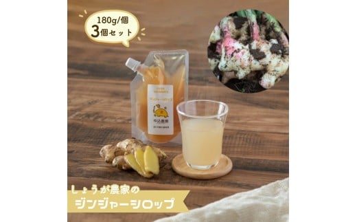しょうが農家のジンジャーシロップ３個セット 生姜 しょうが ジンジャー 生姜シロップ しょうがシロップ ジンジャーシロップ 八街しょうが 八街産しょうが 国産ジンジャーシロップ