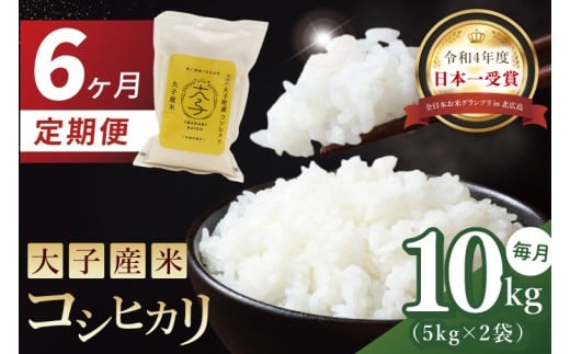 【6か月定期便】大子産米 コシヒカリ（精米）10kg×6回茨城県 大子町 こしひかり 白米 新米 令和7年産 食味値 コンテスト（AV045）