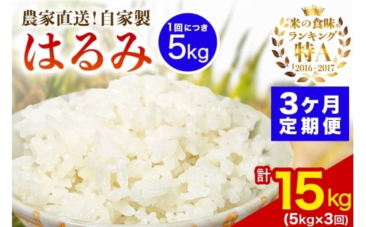 [定期便／3ヶ月連続 ] 新米 [令和7年産] 伊勢原産 精米5kg はるみ 農家直送！加藤さんちのうんめぇ！自家製米｜お米 おこめ コメ 白米 神奈川 伊勢原 ブランド米 [0739] 2375235 - 神奈川県伊勢原市