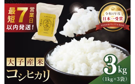 【最短7日発送】大子産米 コシヒカリ（精米）3kg|茨城県 大子町 こしひかり 白米 新米 令和7年産 食味値 コンテスト（AV048）