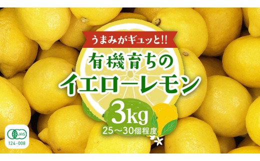 大崎上島産 有機レモン 3kg （目安25〜30個程度） レモン れもん 檸檬 広島県 オーガニック JAS認証 有機 柑橘 フルーツ 果物