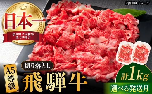【3月発送】【飛騨牛】 切り落とし 1kg 和牛 ブランド牛 国産 牛肉 多治見市 / 渡辺精肉店 [TAZ005-3] 2375087 - 岐阜県多治見市
