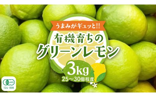 【2026年10月発送開始】 大崎上島産 有機グリーンレモン 3kg （目安25〜30個程度） レモン れもん 檸檬 広島県 グリーン オーガニック JAS認証 有機 柑橘 フルーツ 果物