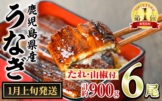 【0364340a-2601】＜1月上旬発送予定＞東串良町のうなぎ蒲焼(無頭)(6尾・計約900g・タレ、山椒付) うなぎ 高級 ウナギ 鰻 国産 蒲焼 蒲焼き たれ 鹿児島 ふるさと 人気 【アクアおおすみ】