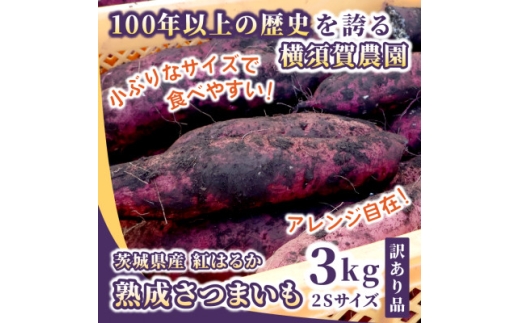 ＜訳あり＞茨城県産 熟成さつまいも(生芋) 紅はるか 2Sサイズ 土付き3kg　家庭用 アレンジ◎【1685324】