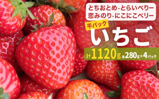 【2026年1月中旬発送開始】 とちおとめ 恋みのり にこにこベリー とらいべりー 280g × 4  平パック いちご 苺 イチゴ フルーツ 果物 ストロベリー ベリー デザート 甘み 酸味 宮城県 石巻市