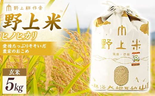 【指定日必須】野上耕作舎 野上米ヒノヒカリ 玄米5kg ひのひかり 玄米 米 お米 ご飯 国産 九州産 福岡県 うきは市