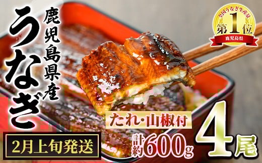 【0244339a-2602】＜2月上旬発送予定＞東串良町のうなぎ蒲焼(無頭)(4尾・計約600g・タレ、山椒付) うなぎ 高級 ウナギ 鰻 国産 蒲焼 蒲焼き たれ 鹿児島 ふるさと 人気 【アクアおおすみ】