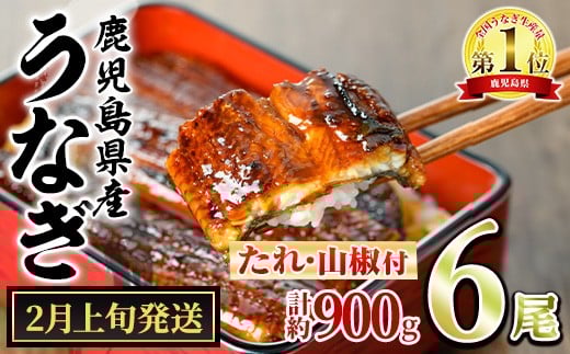 【0364340a-2602】＜2月上旬発送予定＞東串良町のうなぎ蒲焼(無頭)(6尾・計約900g・タレ、山椒付) うなぎ 高級 ウナギ 鰻 国産 蒲焼 蒲焼き たれ 鹿児島 ふるさと 人気 【アクアおおすみ】