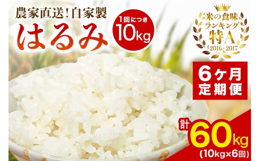 [定期便／6ヶ月連続 ] 新米 [令和7年産] 伊勢原産 精米10kg(5kg×2袋) はるみ 農家直送！加藤さんちのうんめぇ！自家製米｜ お米 おこめ コメ 白米 神奈川 伊勢原 ブランド米 [0742] 2375238 - 神奈川県伊勢原市