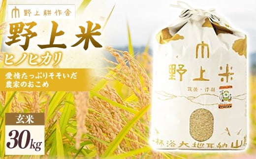野上耕作舎 野上米ヒノヒカリ 玄米30kg
