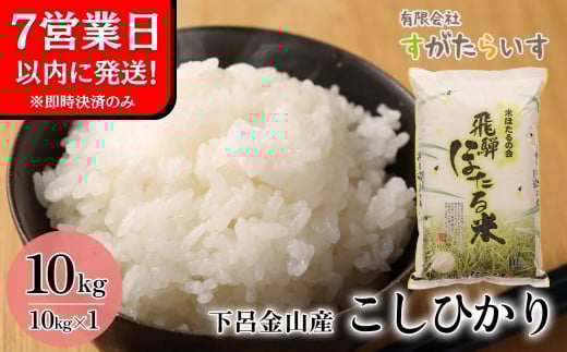 即納【令和7年産米】こしひかり 10kg すがたらいす  2025年産 お米 米 精米 下呂市金山産 コシヒカリ すがたらいす 下呂