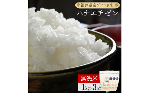 【定期便3回】福井県産 ハナエチゼン 無洗米 3kg（1kg×3）＜令和7年産 新米 数量限定 ＞【米 コメ お米 精米 白米 無洗米 玄米 ご飯 飯 華越前 ブランド米 国産】[095-t3-a316]