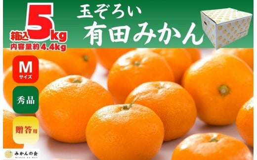 【年末発送指定】【12月25日～12月29日配送】みかん Ｍサイズ 秀品 箱込 5kg (内容量約 4.4kg) 有田みかん 和歌山県産 産地直送 贈答用 ［みかんの会］