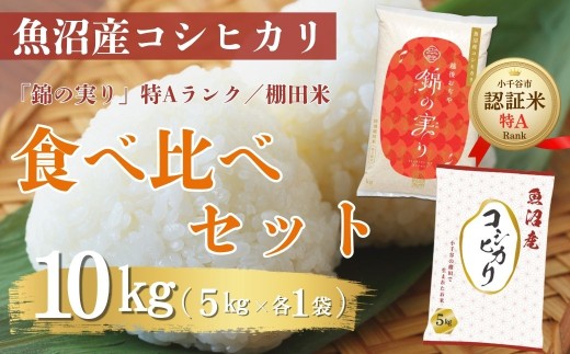 令和7年産 魚沼産コシヒカリ ブランド認証米「錦の実り」特Aランクと棚田米 食べ比べ10kg(5kg2袋) | 新潟県産 コシヒカリ お米 米 こしひかり おこめ こめ コメ 白米 精米 魚沼産 ブランド米【0002-0396-01】 2374083 - 新潟県小千谷市