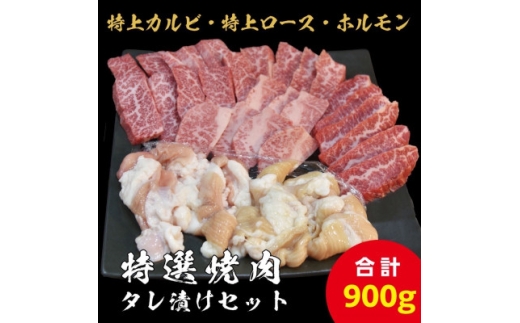 ＜特上ロース&特上カルビ/ホルモン＞特選焼肉たれ漬けセット 計900g【1683013】