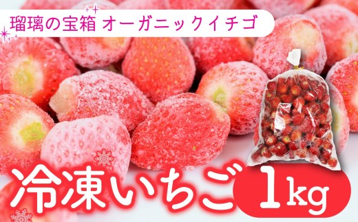 【植物系有機肥料の冷凍いちご】 瑠璃の宝箱 冷凍いちご 計1kg 1000g 有機 有機JAS 植物系有機肥料 イチゴ 苺 オーガニックイチゴ ストロベリー ベリー ヨーグルト スムージー フルーツ ケーキ ジャム デザート 果物 甘い 国産 ブランド 新鮮 産地 直送 フレッシュ 人気 おすすめ ふるさと納税 京都 八幡 八幡市 かみむら農園
