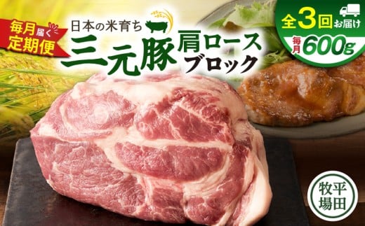 【全3回 毎月定期便】日本の米育ち平田牧場三元豚肩ロースブロック 600g　T036-T10-01