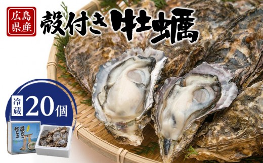 島田水産　Shimada　Oyster　殻付き牡蠣20個(加熱用）【広島かき 広島牡蠣 牡蠣 新鮮 旬 おすすめ 人気 広島県 宮島 廿日市市】 780049 - 広島県廿日市市