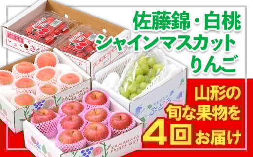 【定期便4回】☆フルーツ王国山形☆佐藤錦・白桃・シャインマスカット・りんご  FY25-358