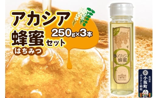 はちみつ アカシア蜂蜜セット（250g×3本）国産 秋田県小坂町