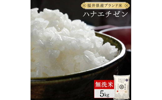 福井県産 ハナエチゼン 無洗米 5kg（5kg×1）＜令和7年産 新米 数量限定 ＞【米 コメ お米 精米 白米 無洗米 玄米 ご飯 飯 華越前 ブランド米 国産】[095-a017]