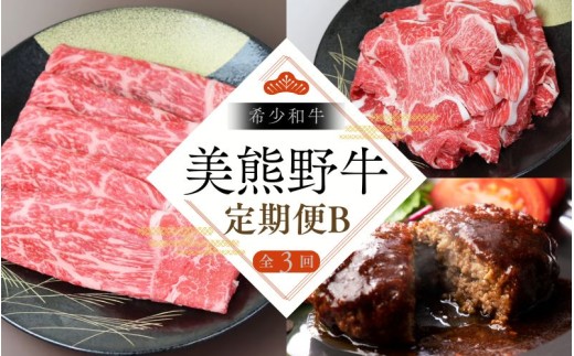【全3回】美熊野牛 定期便B ＜すき焼きしゃぶしゃぶ用ロース＆赤身モモ肉 800g・切り落とし 800g・ハンバーグ 100g×5個＞ 牛肉 肉 ブランド牛 和牛 黒毛和牛 国産牛 すき焼き しゃぶしゃぶ 赤身 赤身肉 肉定期便 人気 希少 おすすめ 三重県 熊野市【okad-tkb0012】 2374214 - 三重県熊野市